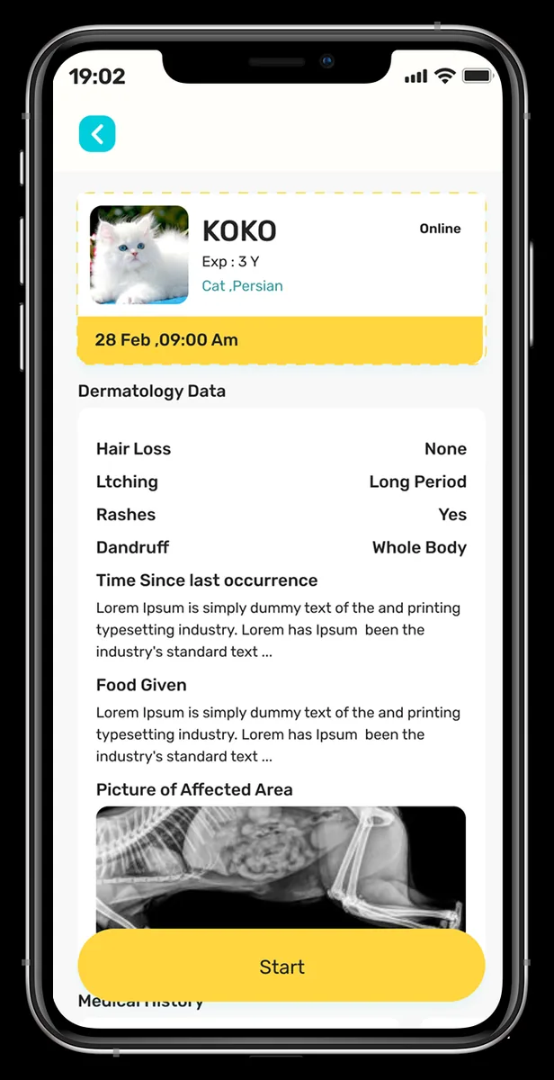 Consultation preparation screen showing the pet, structured dermatology answers, food given, a photo of the affected area and a start button
