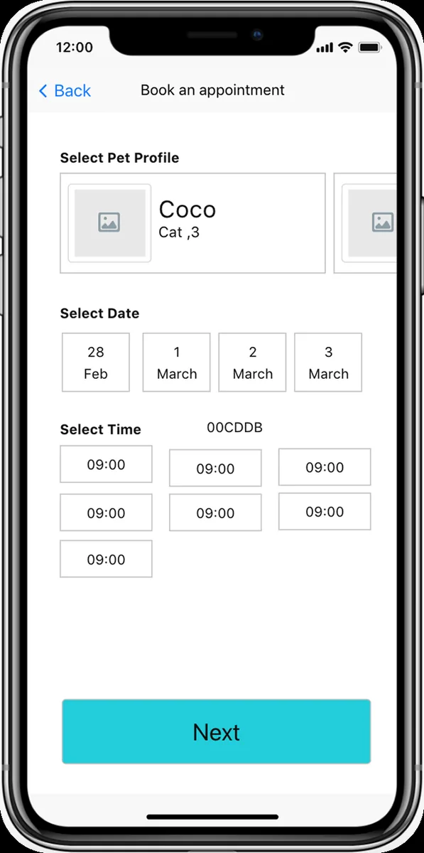 Low fidelity wireframe of the appointment booking screen with pet, date and time selection
